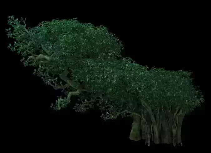 Game Model - Forest - Tree 05