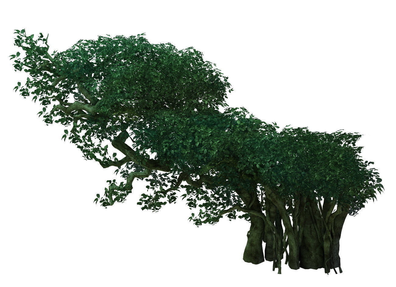 Game Model - Forest - Tree 05 3D model_2