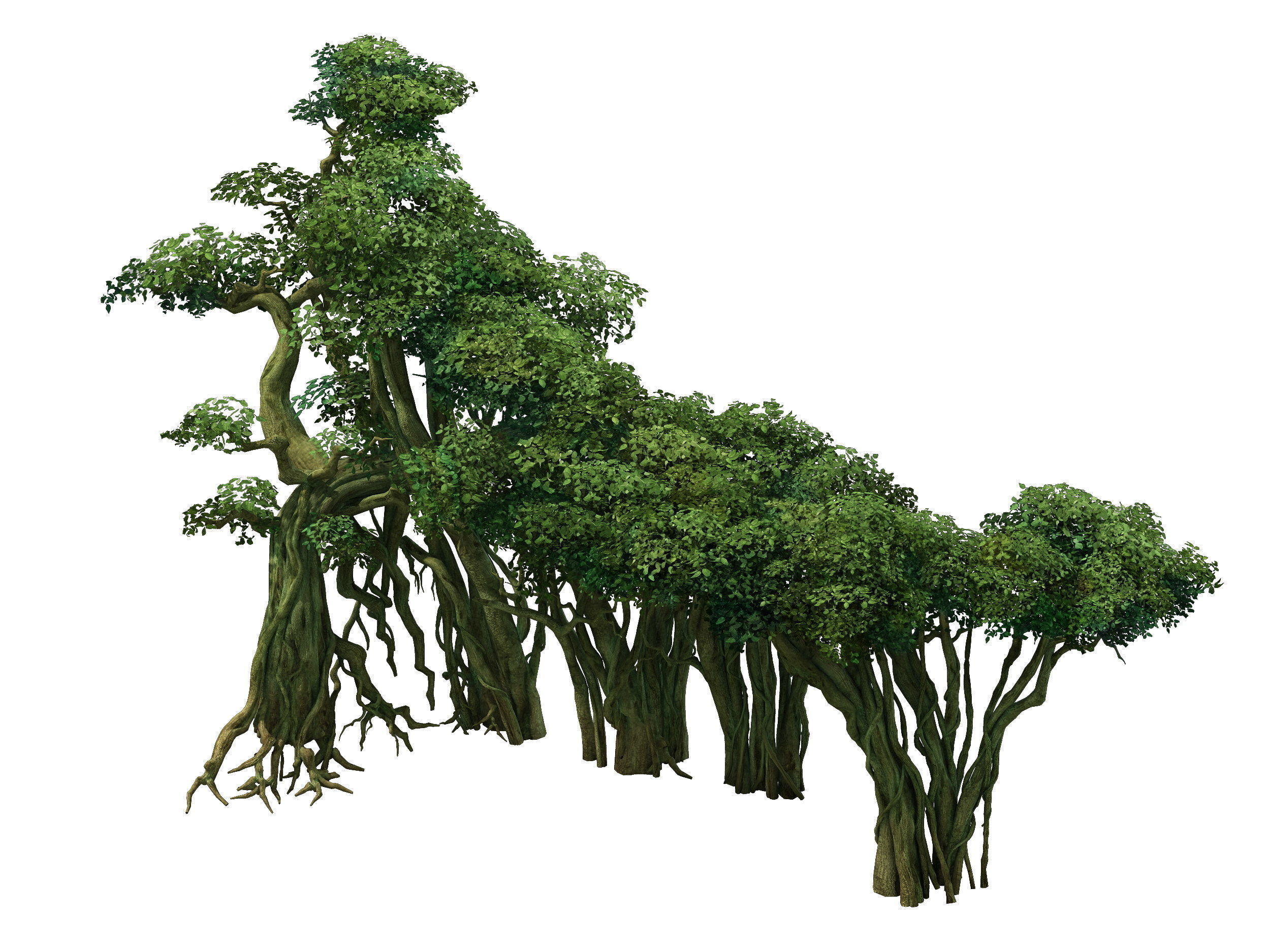 Game Model - Forest - Tree 10 3D model_2