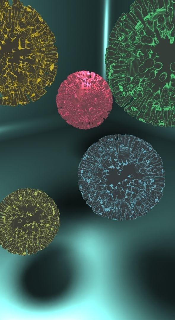 Corona Virus 3D model_2