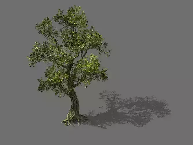 Game Model - Forest - Tree 01