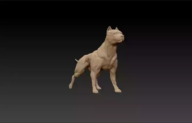 standing muscular american pitbull terrier dog 3D print model