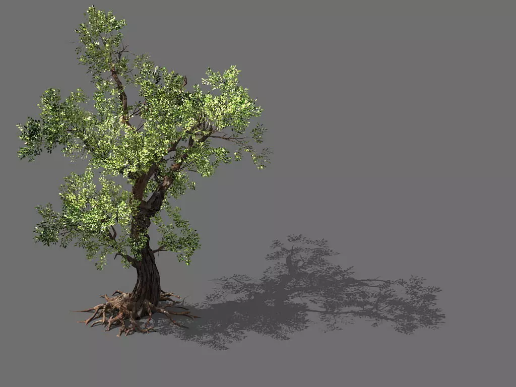 Game Models - Forest - Trees 02 3D model_0