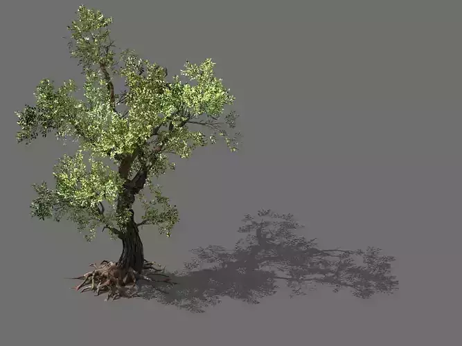 Game Models - Forest - Trees 02