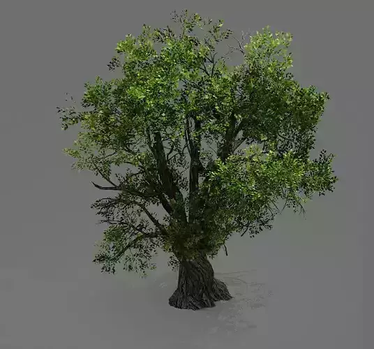 Game Model - Forest - Tree 04