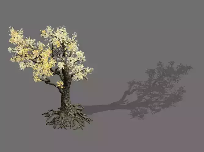 Game Models - Forest - Trees 05