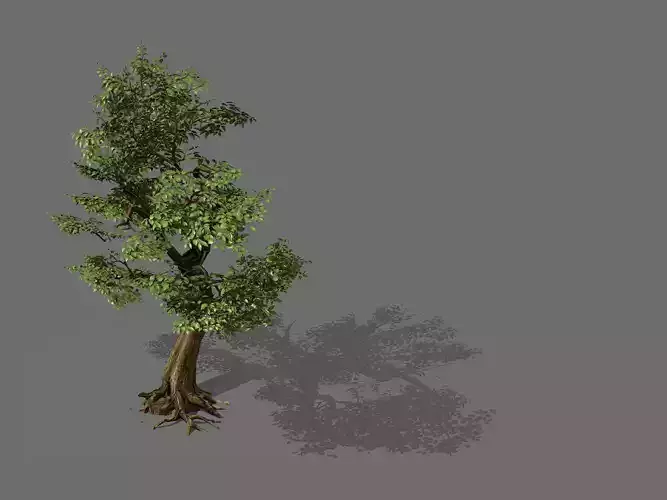 Game Models - Forest - Trees 06