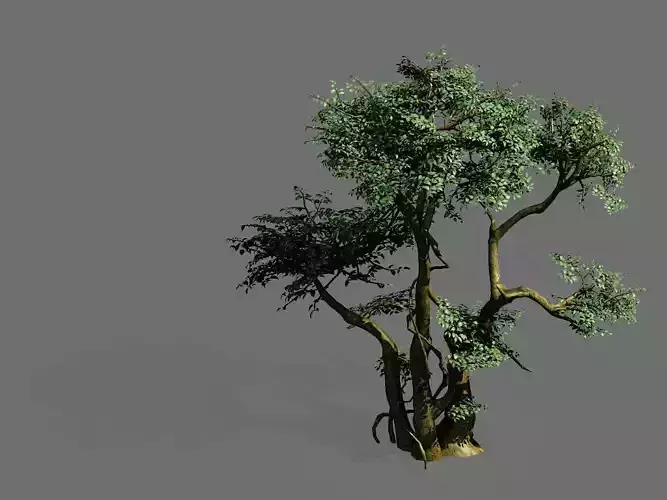 Game Models - Forest - Trees 07