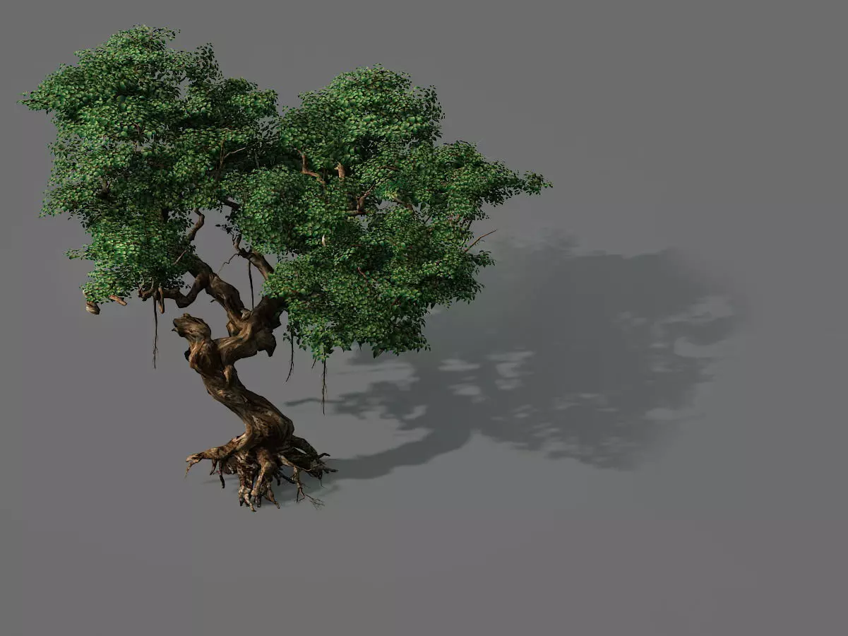 Game Models - Forest - Trees 09 3D model