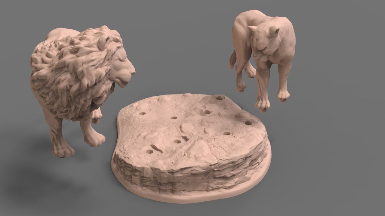 Lions lion and lioness 3D print model_2