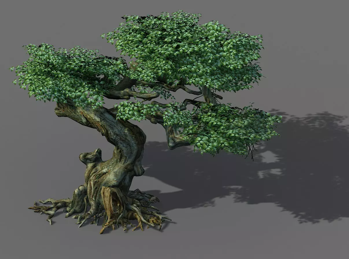 Game Model - Forest - Trees 12 3D model_0