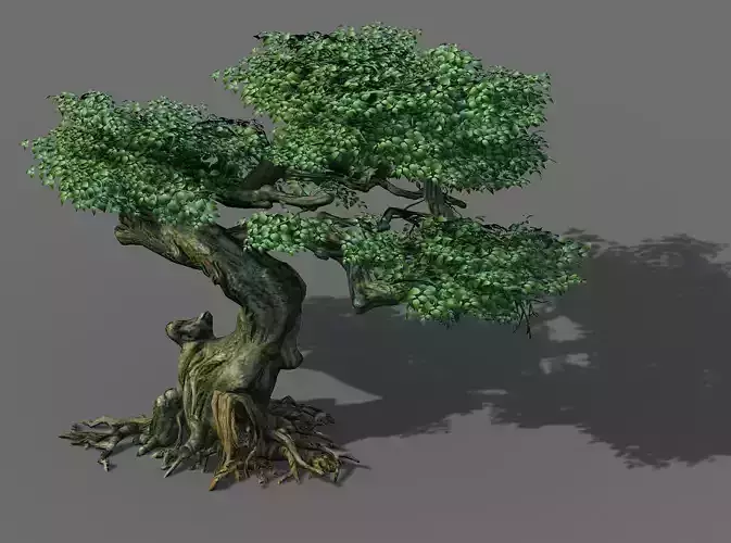 Game Model - Forest - Trees 12