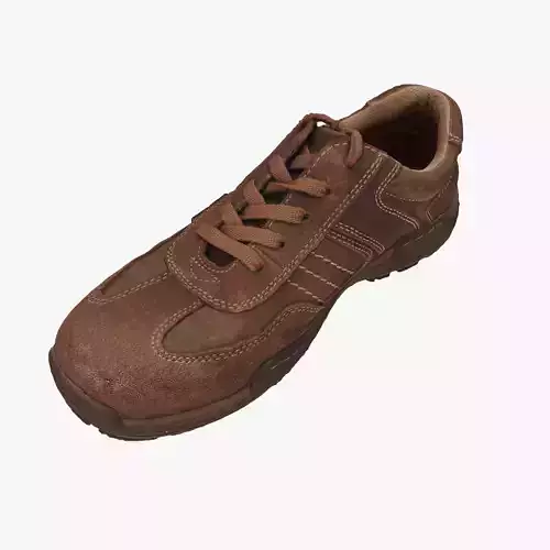 Shoe brown