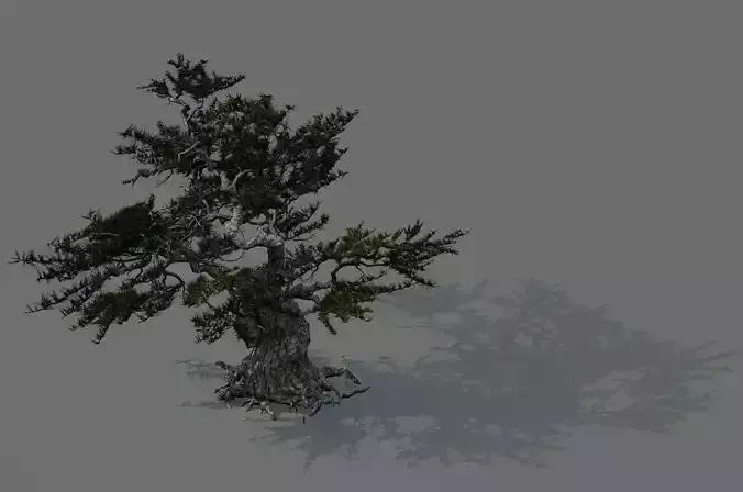 Game Model - Forest - Pines 02e