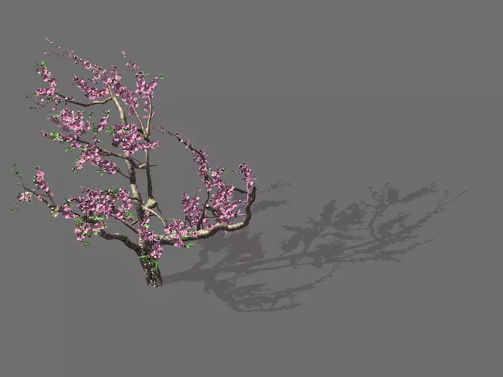 Game Model - Forest - Peach Tree 01 3D model_0