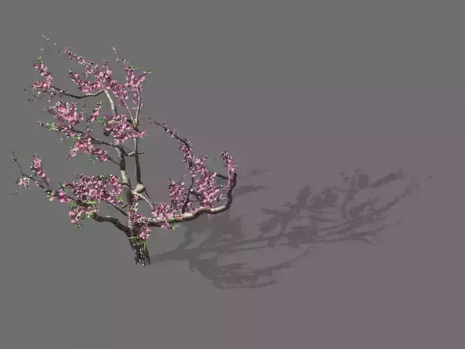 Game Model - Forest - Peach Tree 01