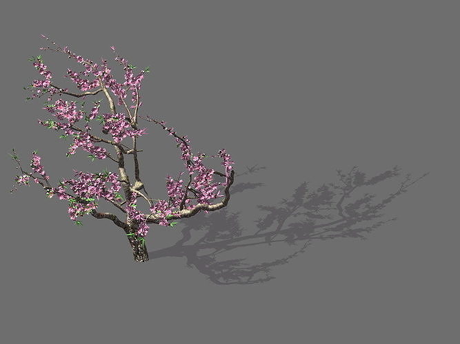 Game Model - Forest - Peach Tree 01 3D model