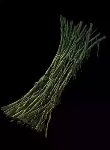 Game Model - Forest - Teng Bridge 05 3D model