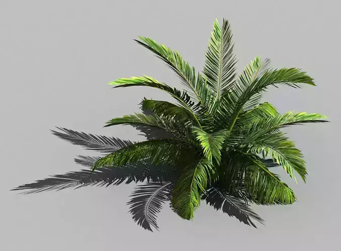 Game Model - Forest - Coconut Tree 01