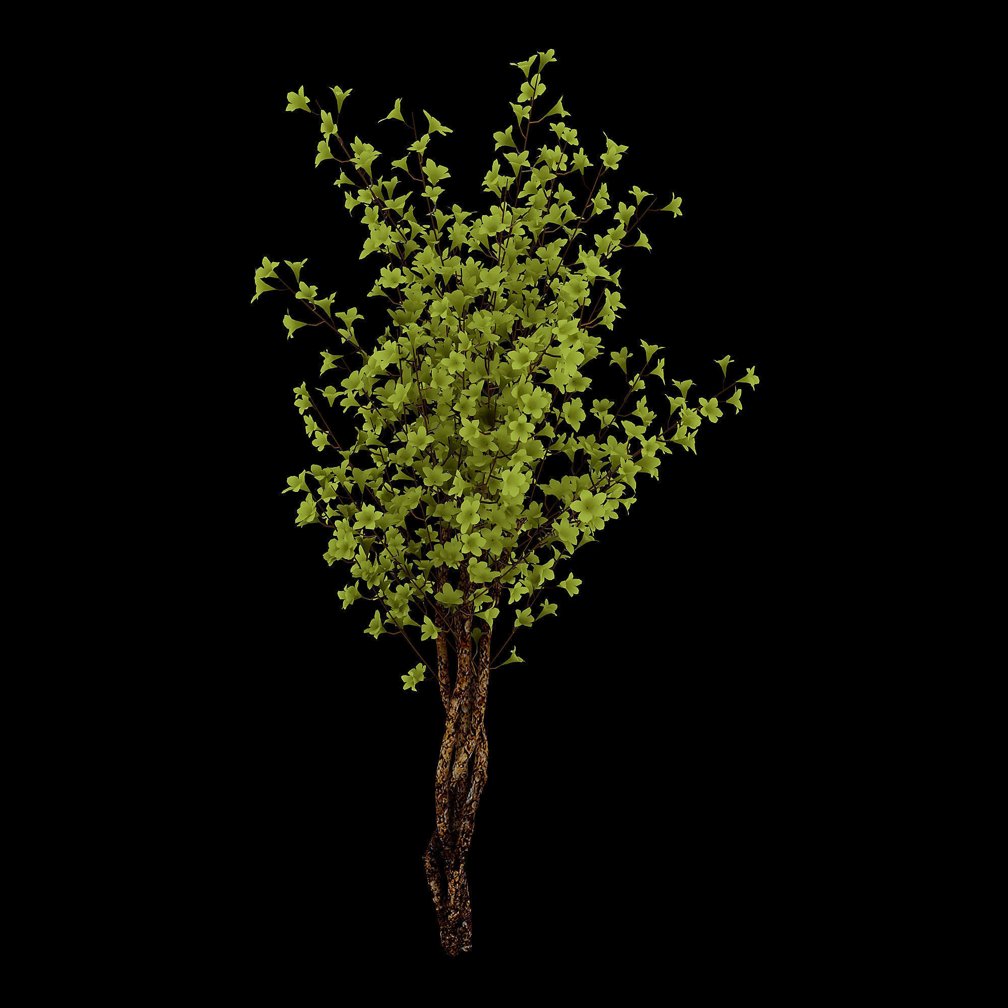 Forest plants - Small trees 032 3D model_1