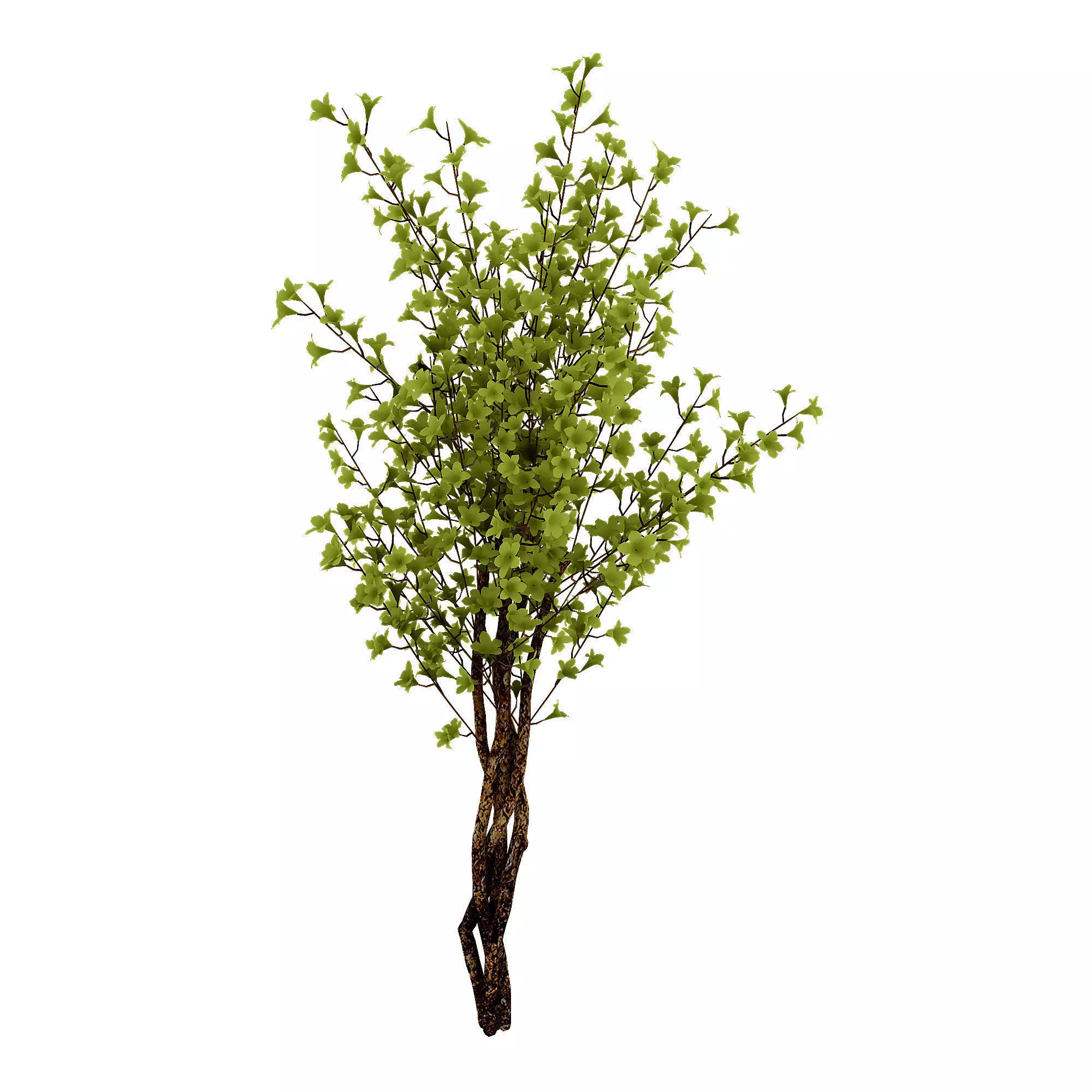 Forest plants - Small trees 032 3D model_0