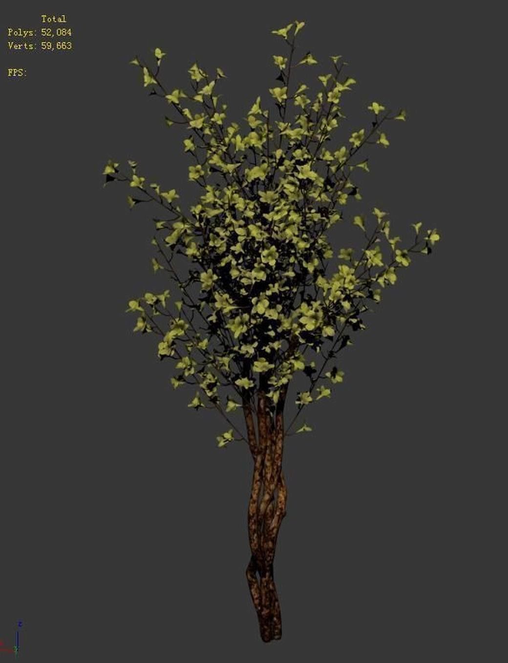 Forest plants - Small trees 032 3D model_2