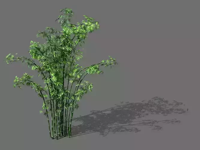 Game Model - Forest - Bamboo