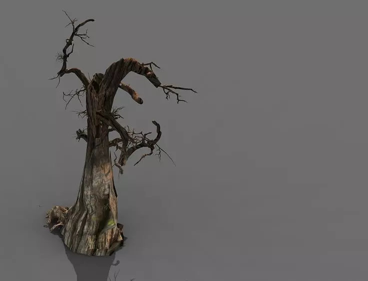 Game Model - Desert - Deadwood 10 3D model_0