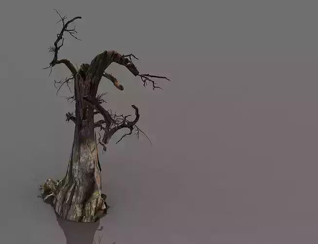 Game Model - Desert - Deadwood 10