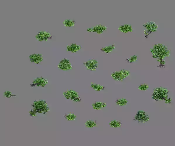 Lion camel - mountain cliff plant 01