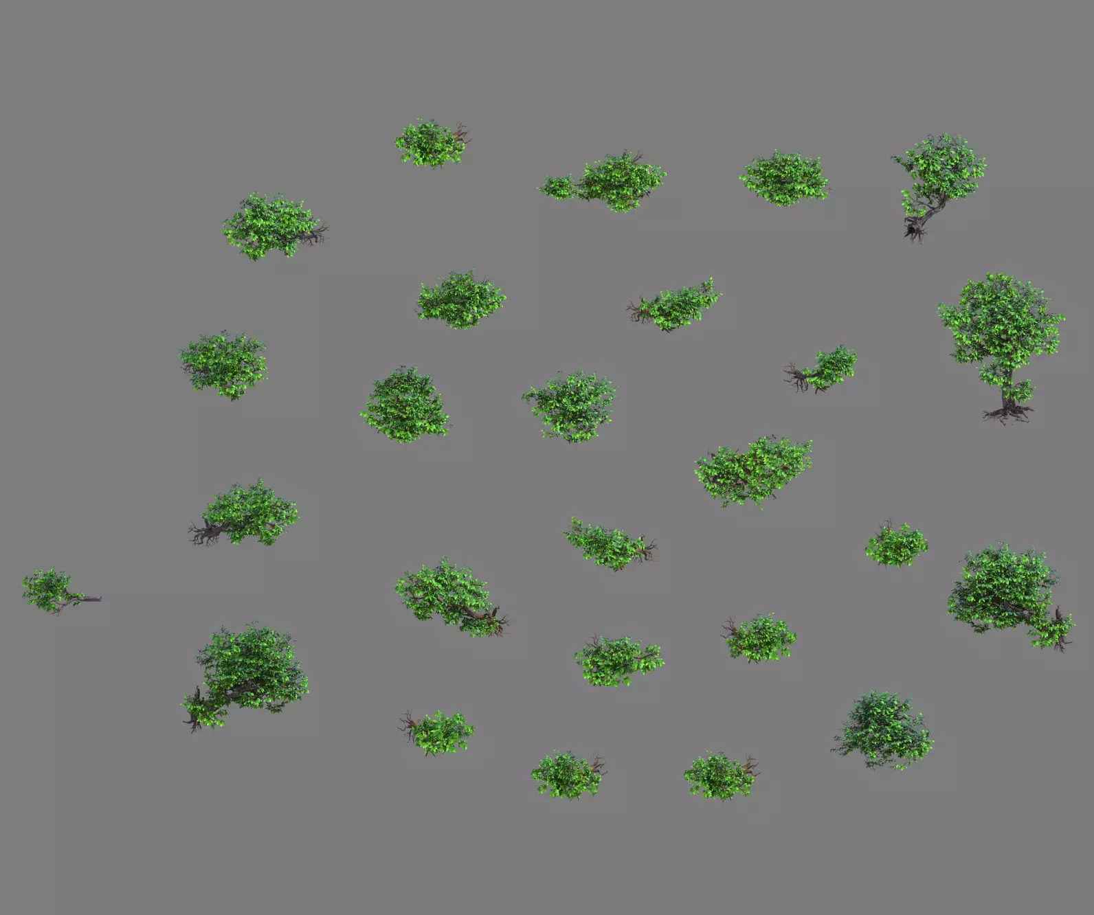 Lion camel - mountain cliff plant 01 3D model_0