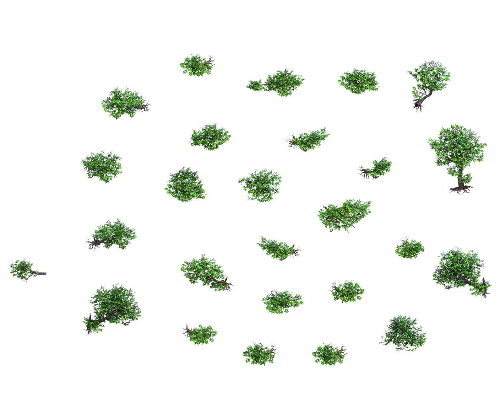 Lion camel - mountain cliff plant 01 3D model_1
