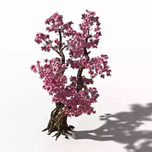 Taihu Lake coast - peach trees