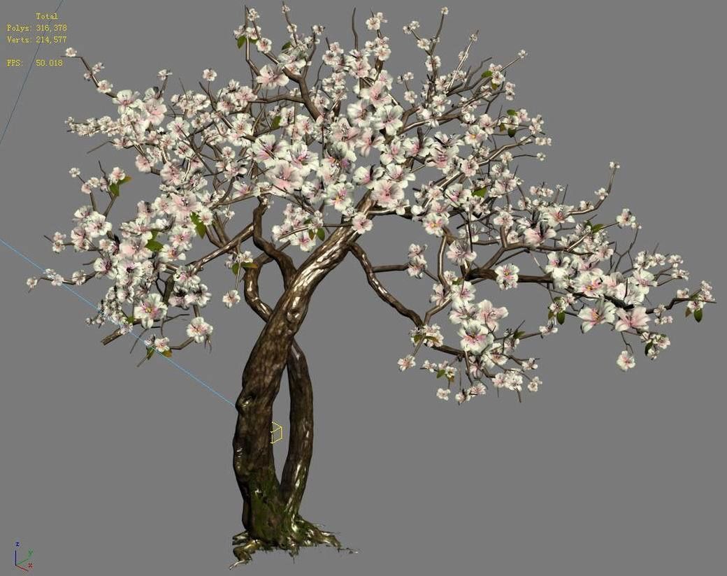 Peach Blossom Island - Trees 06 3D model_9