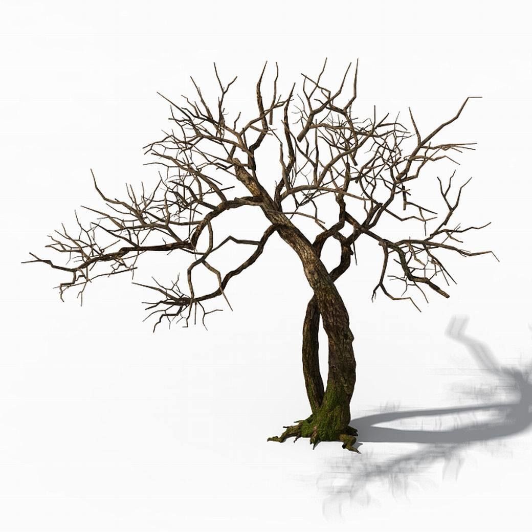 Peach Blossom Island - Trees 06 3D model_7