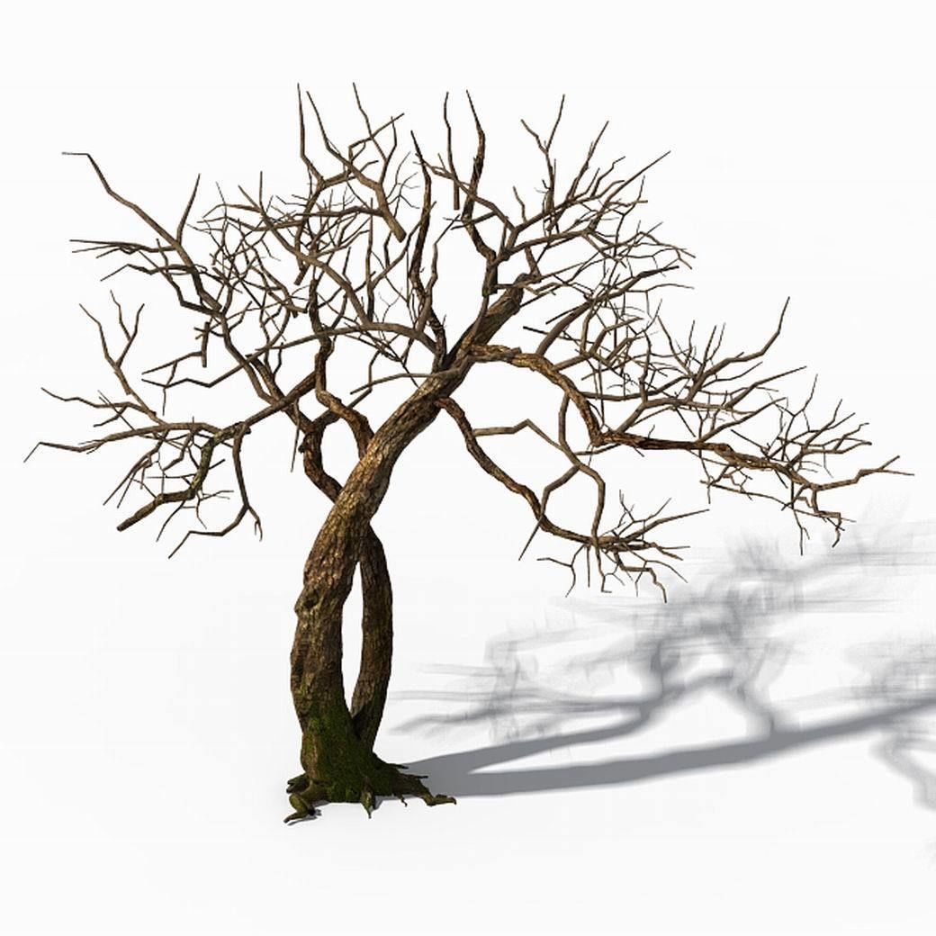 Peach Blossom Island - Trees 06 3D model_6