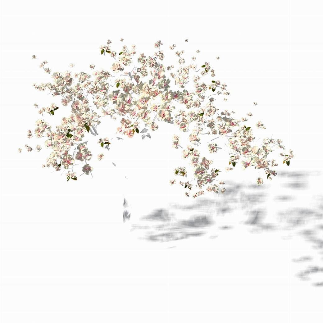 Peach Blossom Island - Trees 06 3D model_2