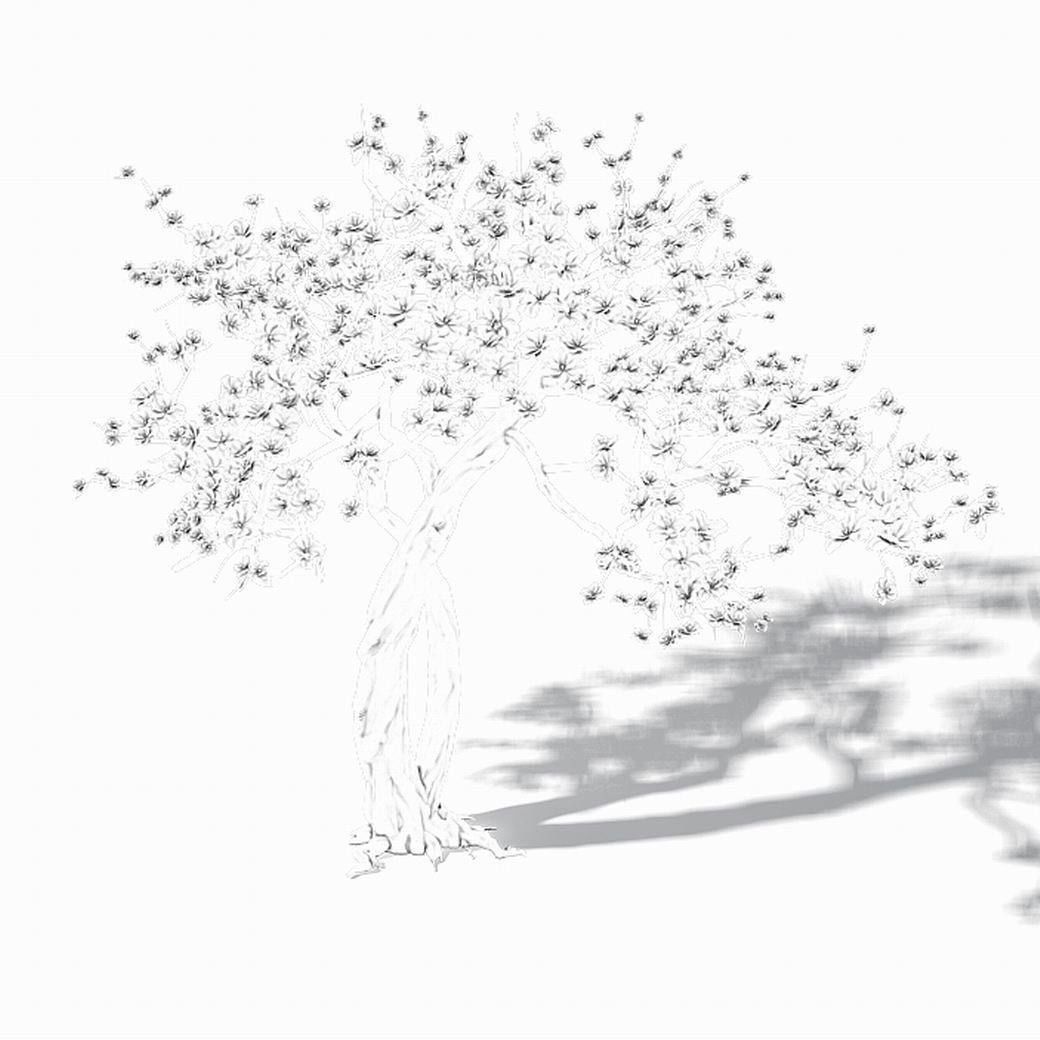 Peach Blossom Island - Trees 06 3D model_5