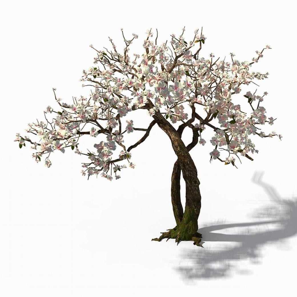 Peach Blossom Island - Trees 06 3D model_1
