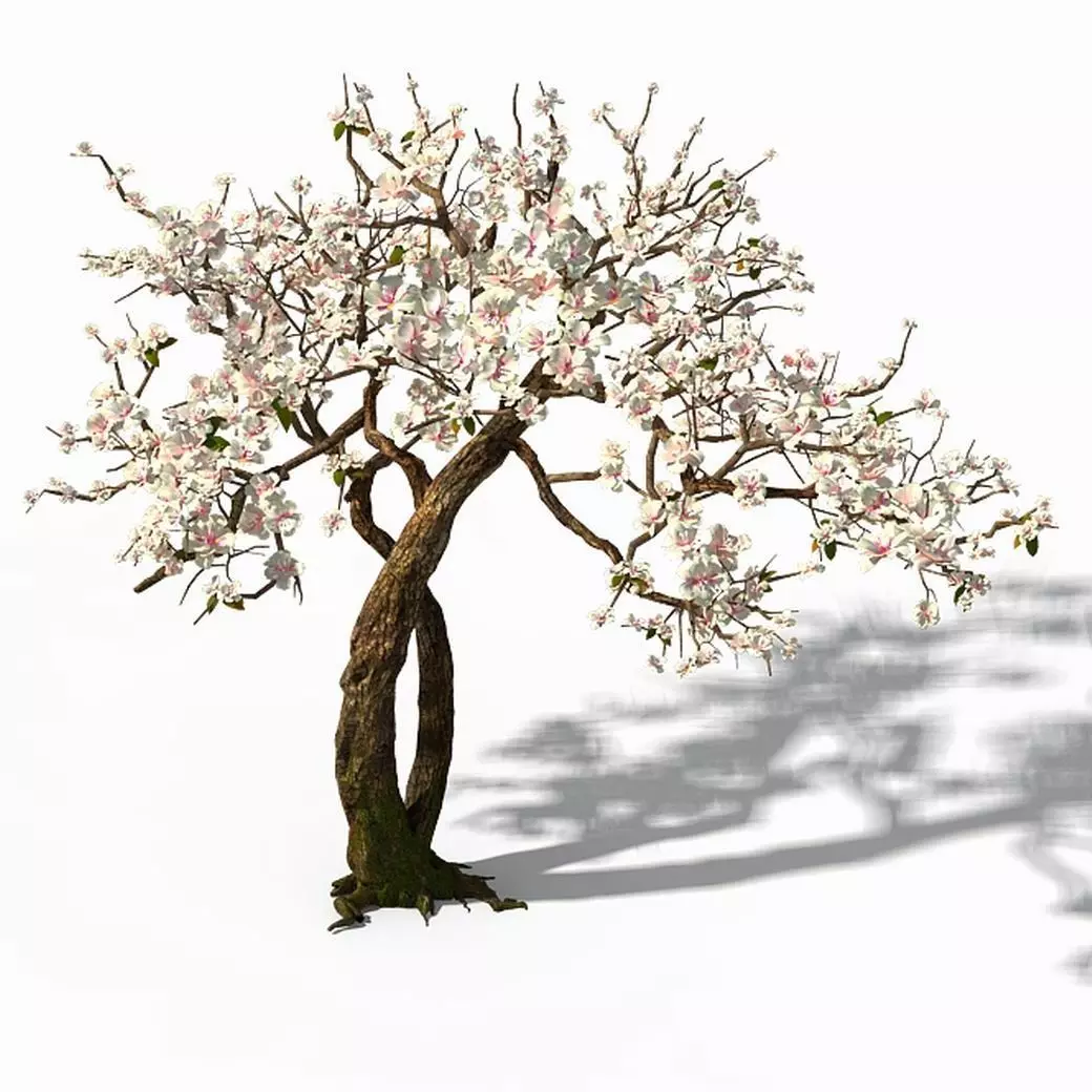 Peach Blossom Island - Trees 06 3D model_0