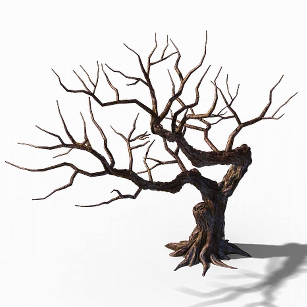 Peach Blossom Island - Peach Tree 01 3D model_2