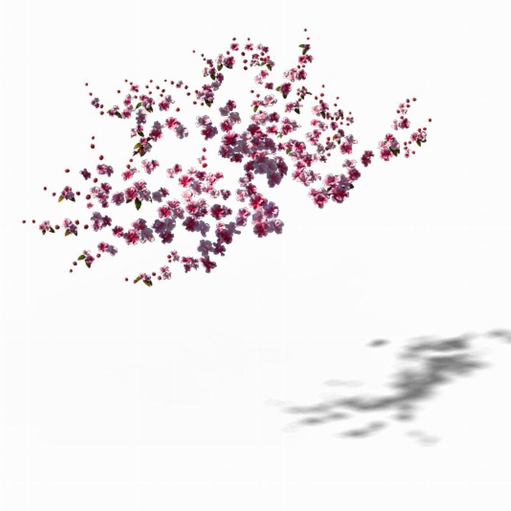 Peach Blossom Island - Peach Tree 01 3D model_7