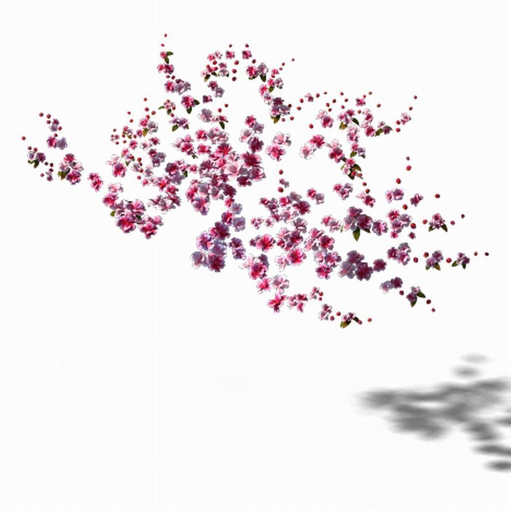 Peach Blossom Island - Peach Tree 01 3D model_1