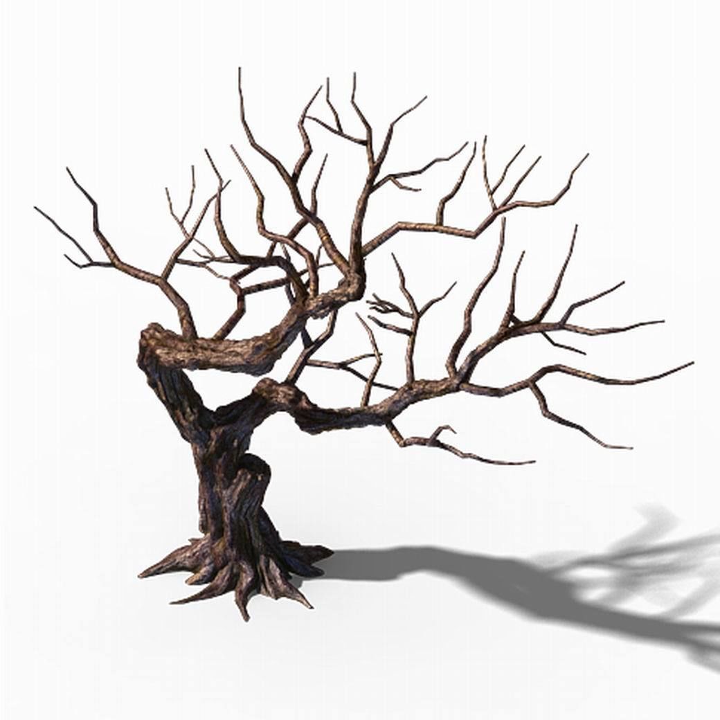 Peach Blossom Island - Peach Tree 01 3D model_4