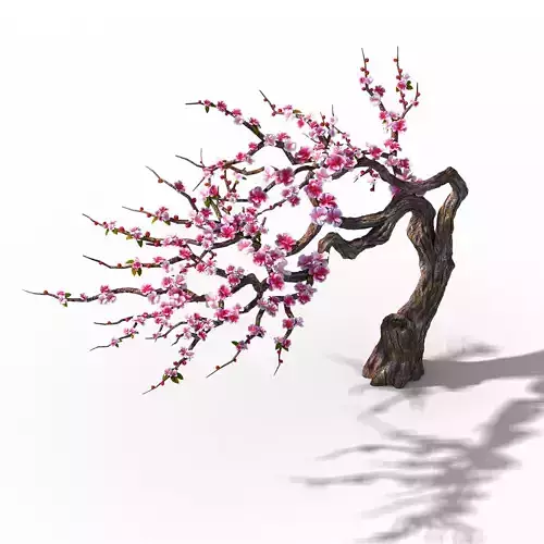 Peach Blossom Island - Peach Tree 03 3D model