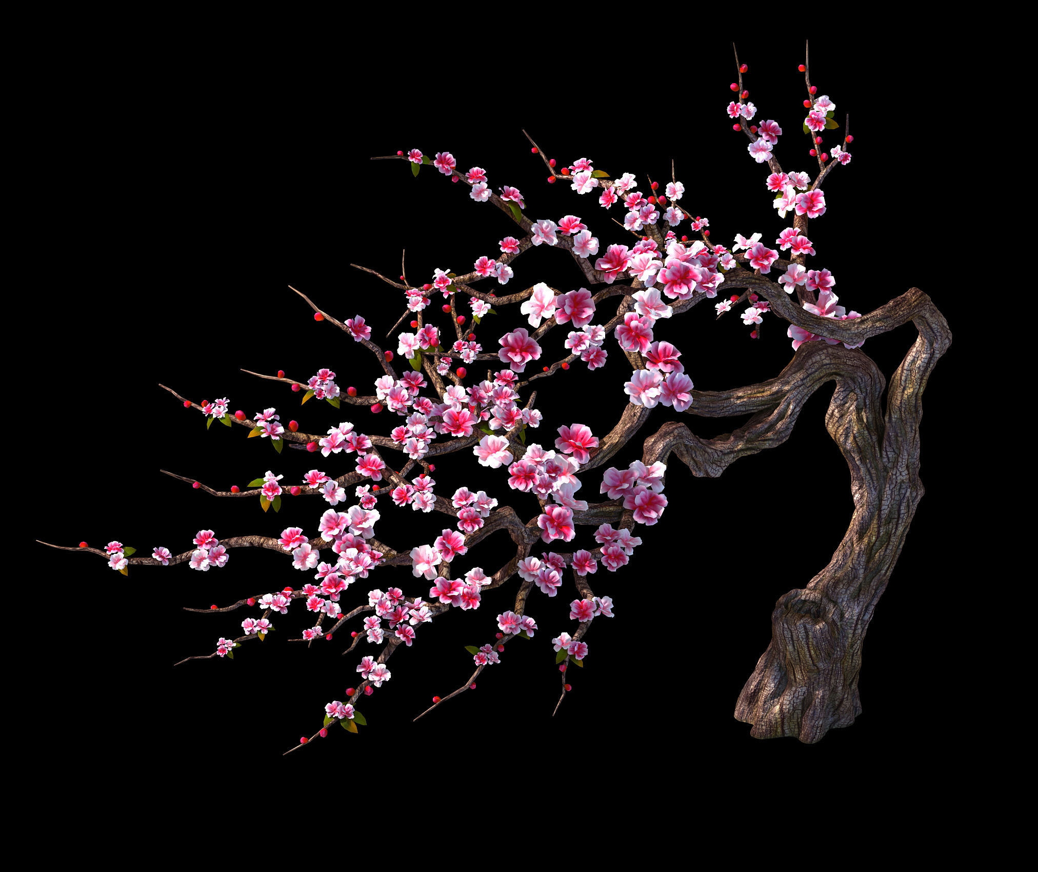 Peach Blossom Island - Peach Tree 03 3D model_3