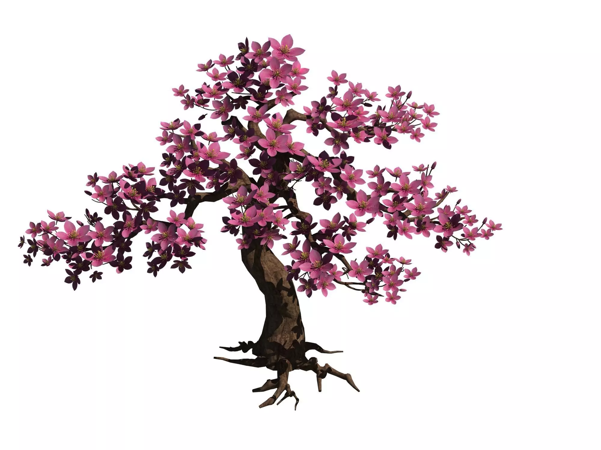 Peach tree 61 3D model