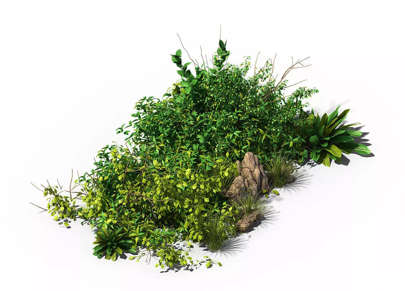 General plant - flowers 38 3D model_0