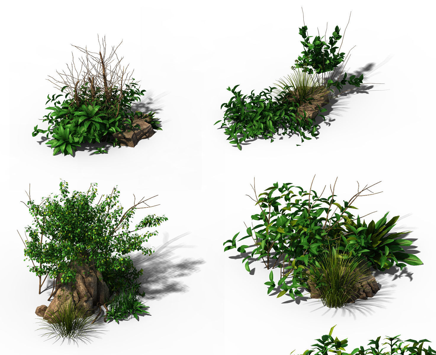 General plant - flowers 39 3D model_2