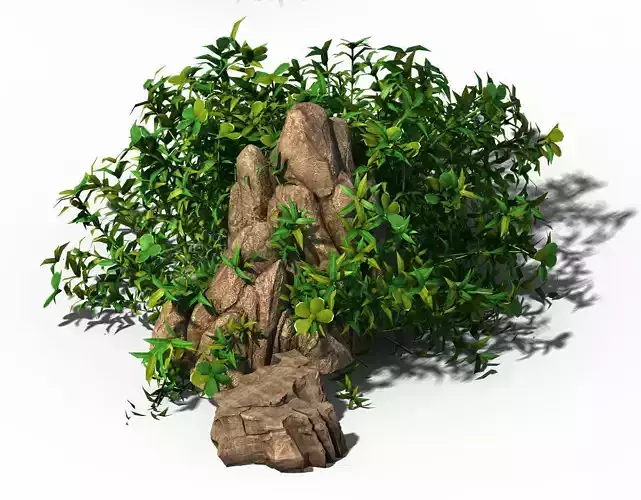 General plant - flowers 39